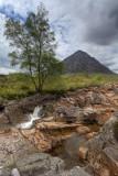 Bauchille Etive