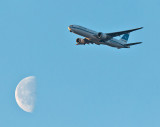 Week 4 Moon_Jet_DSC_45790_4.jpg