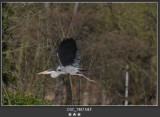 Week 12 226-47467_original.jpg
