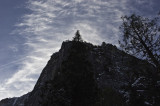<B>Looking Up</B> <BR><FONT SIZE=2>Yosemite National Park - February, 2009</FONT>