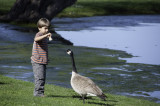 <B>Boy Meets Bird</B> <BR><FONT SIZE=2>Sonoma Country, California - March 2009</FONT>
