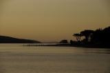 <B>Tomales Bay</B> <BR><FONT SIZE=2>Marin Country, California - March 2009</FONT>