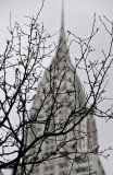 <B>Waiting for Spring</B> <BR><FONT SIZE=2>New York City - March, 2009</FONT>