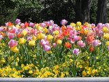 DSCN7682.JPG