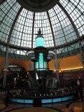 DSCN0144.JPG