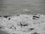 DSCN7992.JPG