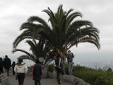 6C_DSCN0594.JPG