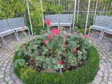 DSCN1720.JPG