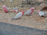 DSCN2857.JPG