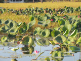 DSCN3306.JPG