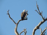 DSCN3384.JPG