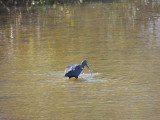 DSCN3497.JPG