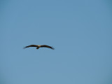 DSCN3511.JPG