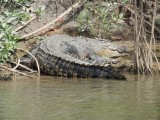 DSCN3574.JPG