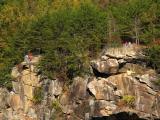 Tallulah Gorge overlook #9