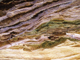 grand canyon 2011 241web.jpg