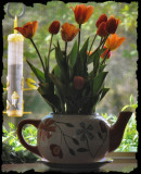 Teapot, Tulips and....