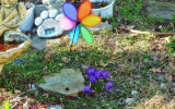 Scotties Memorial Garden March 12