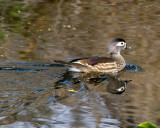 IMG_1475.jpg