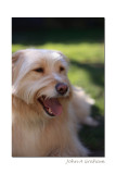 happy boy