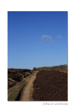 on the moor