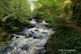 Ness Glen