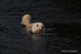 cooling off