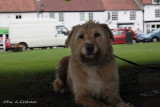 Tired and mucky