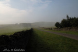 Misty morning