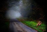 Foggy road Copyright   Phillip Normanton mangled by Johnny