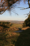 looking down the lane.