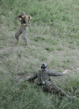 Skirmish at Railway Bridge