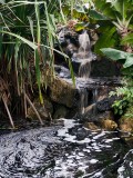 Botanical Garden