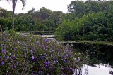 Botanical Garden