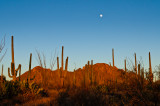 Sonoran desert w. moon 3.jpg