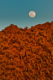 Sonoran desert w.moon.jpg