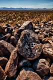 Sonoran desert petroglyphs 4.jpg