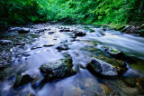 7 Mile Creek 3