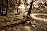 Flambeau River, WI