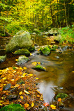 Creek in Blue Hills 3