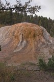 Orange Spring Mound