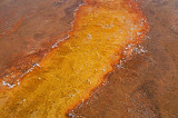 Black Pool - West Thumb Geyser Basin, YNP