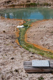 Lakeside Spring - West Thumb Geyser Basin, YNP