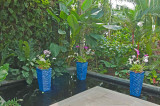Daniel Stowe Botanical Garden & Orchid Conservancy