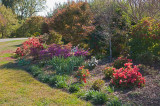 Daniel Stowe Botanical Garden & Orchid Conservancy