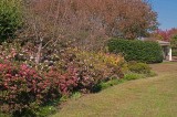 Daniel Stowe Botanical Garden & Orchid Conservancy