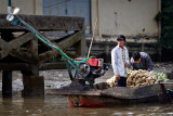 Cai Rang Floating Market (6)