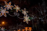 Tet Celebration (6)