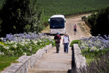 Haras de Pirque Winery