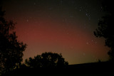 Heavenly Night